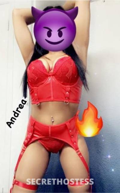 Andrea 25Yrs Old Escort Dallas TX Image - 2