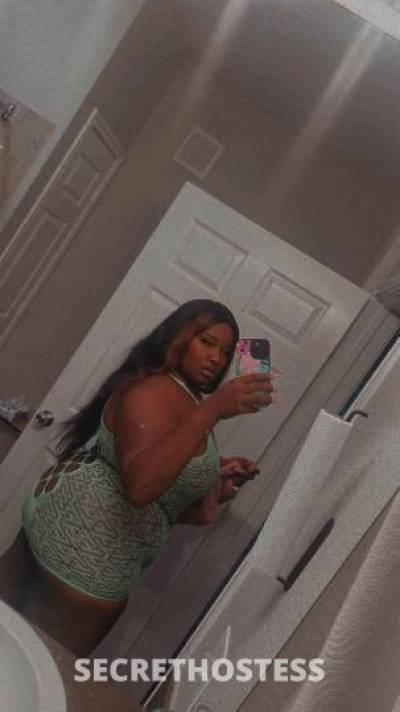 Ari 24Yrs Old Escort Biloxi MS Image - 0