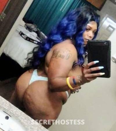 BIGBOOTYJUDY 30Yrs Old Escort Baton Rouge LA Image - 0