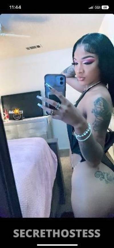 Babyakita 22Yrs Old Escort San Antonio TX Image - 2