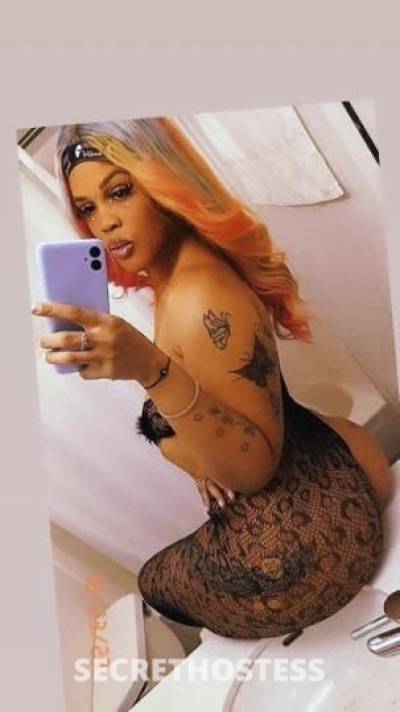 Babygirl 27Yrs Old Escort Bronx NY Image - 0