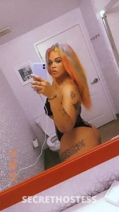 Babygirl 27Yrs Old Escort Bronx NY Image - 1