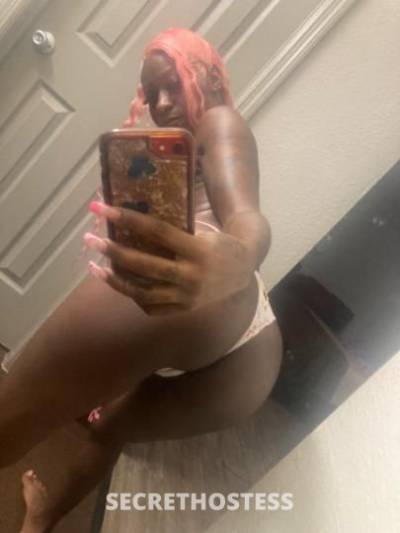 Diamond 28Yrs Old Escort Nashville TN Image - 4