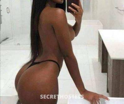 Diana 26Yrs Old Escort Miami FL Image - 3