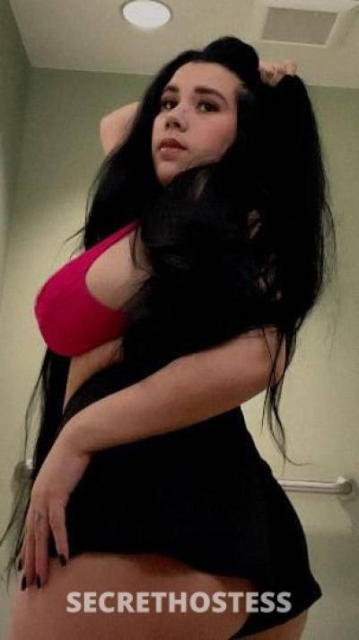 Gina 23Yrs Old Escort Dallas TX Image - 1