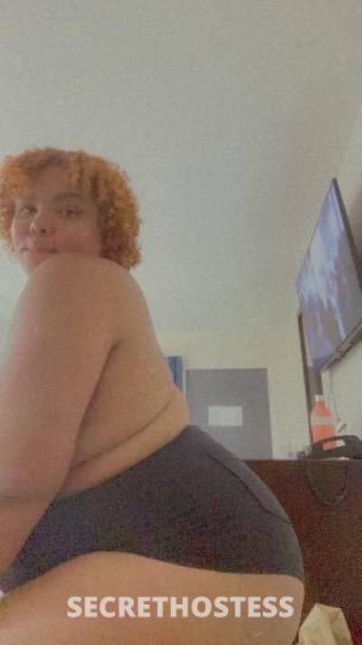 HoneyB 23Yrs Old Escort Racine WI Image - 4