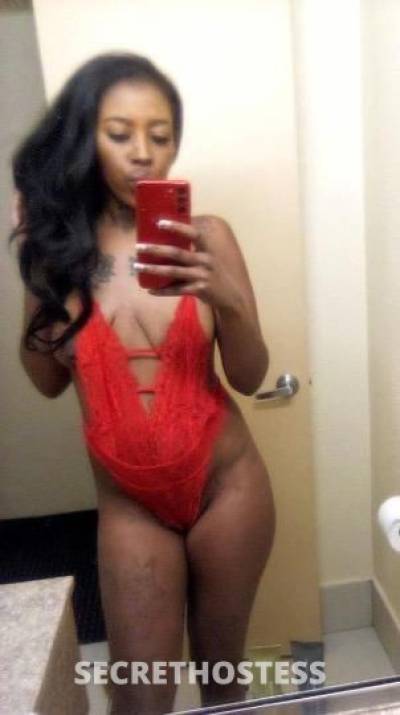 Kay 21Yrs Old Escort North Jersey NJ Image - 3