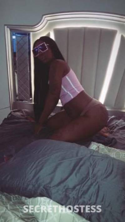 Kay 21Yrs Old Escort North Jersey NJ Image - 4