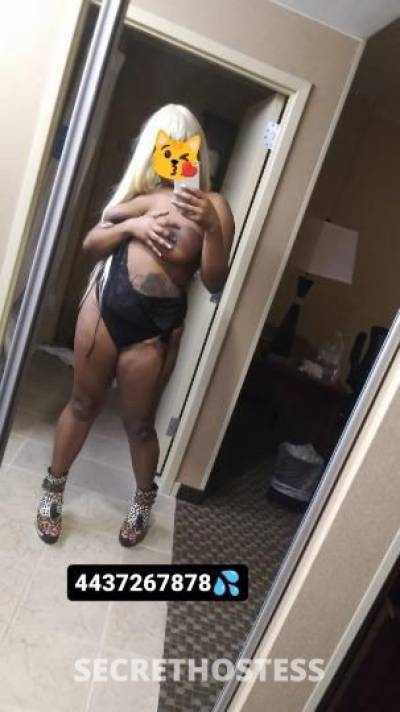 Koi 24Yrs Old Escort Baltimore MD Image - 4