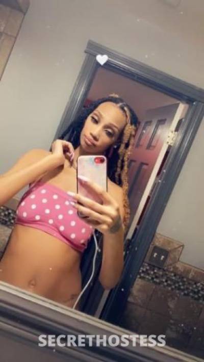 Laila 28Yrs Old Escort Detroit MI Image - 6