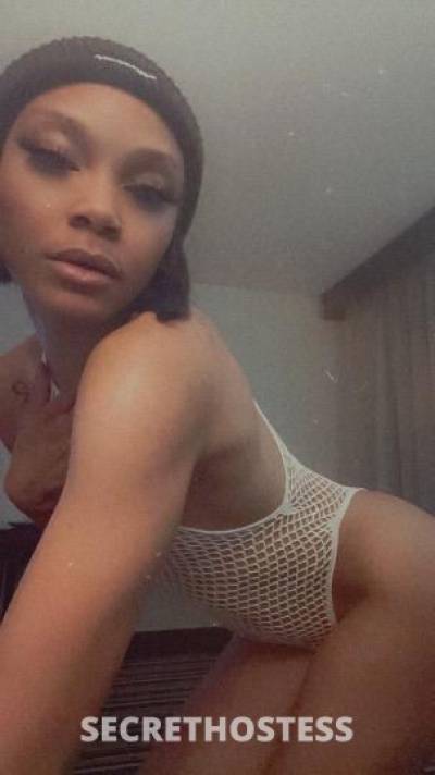 Lola 25Yrs Old Escort Lafayette LA Image - 3