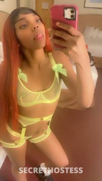 Marie 22Yrs Old Escort Rockford IL Image - 1