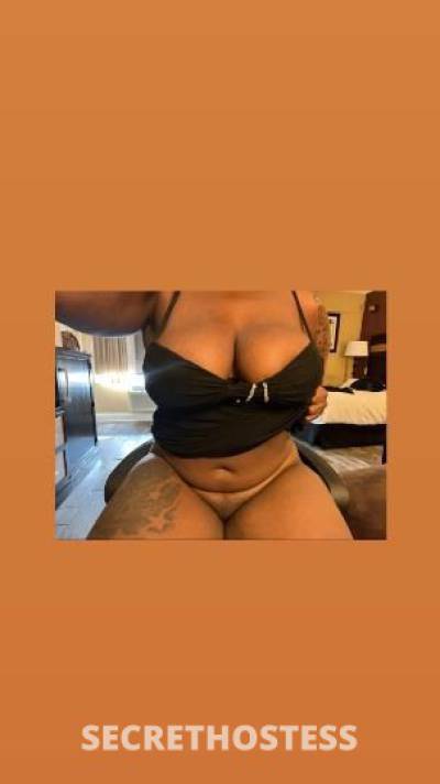 Monroe 25Yrs Old Escort 165CM Tall North Jersey NJ Image - 0