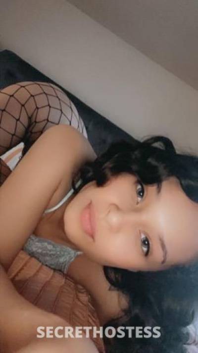 Rosie 24Yrs Old Escort Toledo OH Image - 4