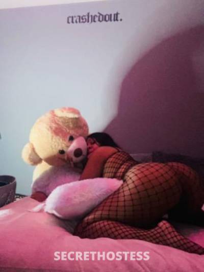 Skye 21Yrs Old Escort Norfolk VA Image - 5