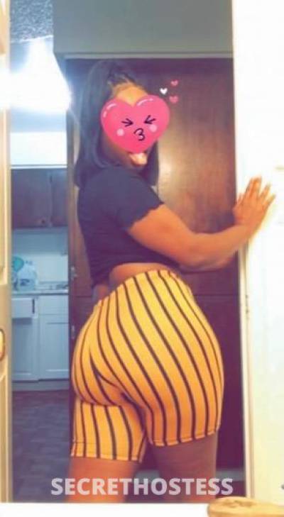 26 year old Escort in Tampa FL ???If U Want It Done Right Come To Meee
