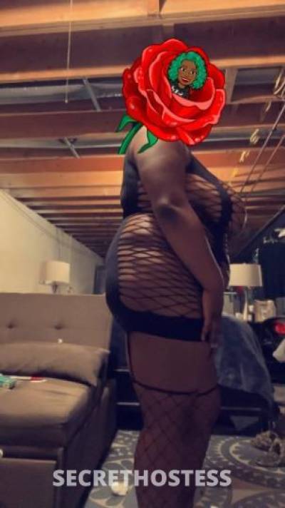 Tiffany 20Yrs Old Escort Ann Arbor MI Image - 4