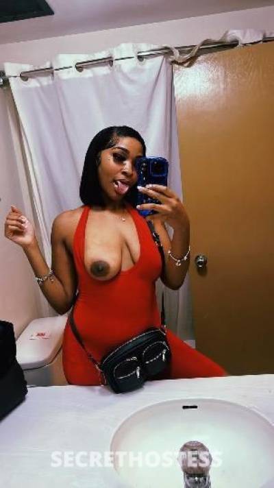 rozaye 24Yrs Old Escort Saint Louis MO Image - 4