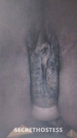 Tiffany 20Yrs Old Escort Ann Arbor MI Image - 4