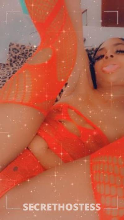 💋✨SEXIILOLABUNNY💋✨ 23Yrs Old Escort 157CM Tall San Diego CA Image - 6