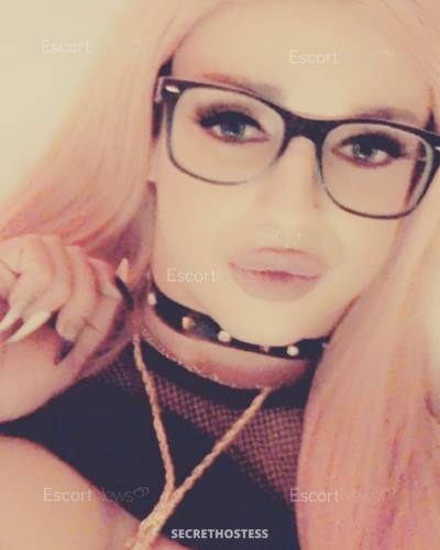 22 Year Old European Escort New York City NY Blonde - Image 7