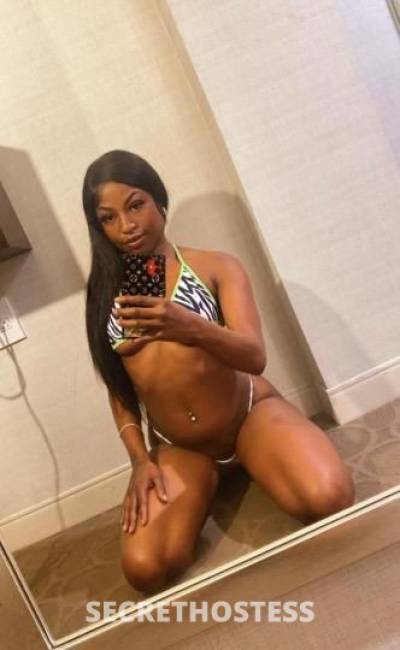 23Yrs Old Escort Miami FL Image - 3