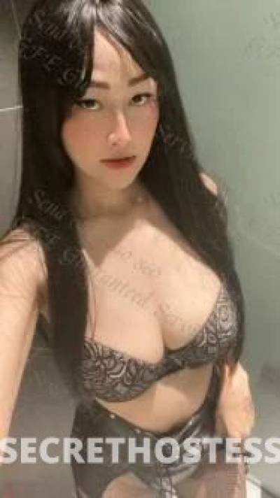 27Yrs Old Escort Darwin Image - 6