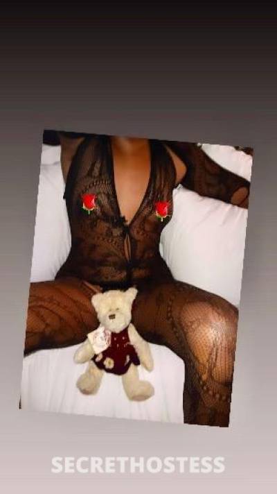 28Yrs Old Escort Orlando FL Image - 1