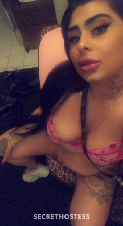 Aussie All And Exclusive Young Cum Slut 300 new year special in Perth