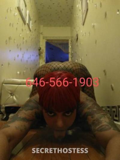 Escort Bronx NY Image - 3