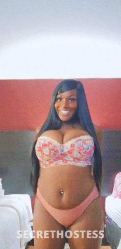 AysiaTheGenie 25Yrs Old Escort Grand Rapids MI Image - 1