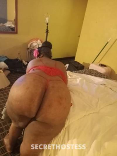 Beauty 40Yrs Old Escort Kalamazoo MI Image - 1