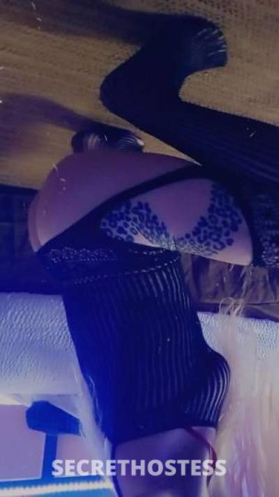 30 year old Escort in Detroit MI ??PRETTY** WET GIRL✨SAFE? ?LEGIT? SKILLED??EXOTIC ?? 