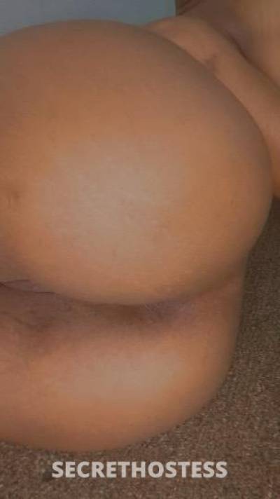 Cece 23Yrs Old Escort Philadelphia PA Image - 1