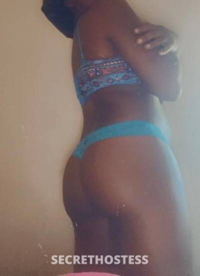 Chocolatedrop 27Yrs Old Escort Springfield MA Image - 5