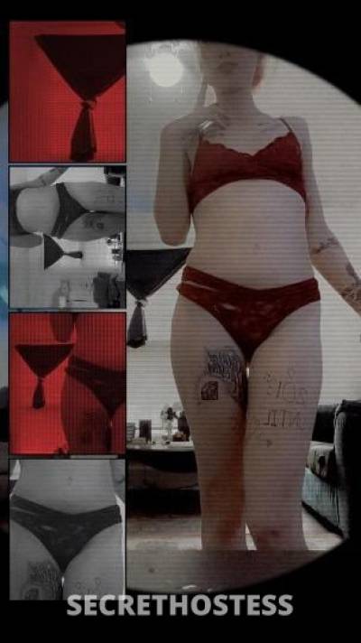 Harley 27Yrs Old Escort Little Rock AR Image - 4