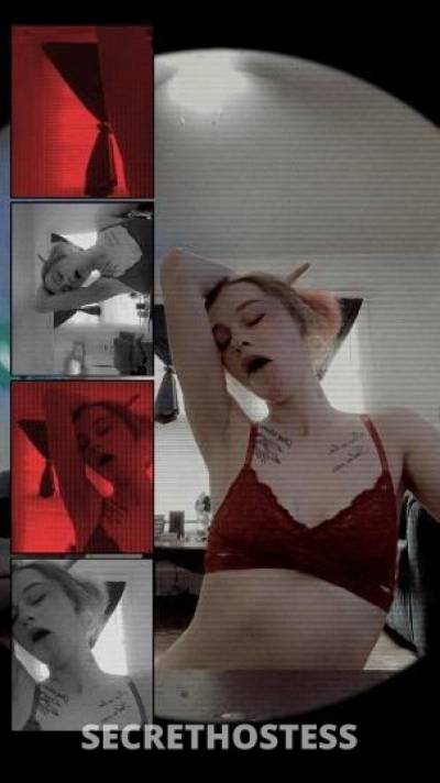 Harley 27Yrs Old Escort Little Rock AR Image - 5