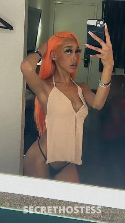 Honee 23Yrs Old Escort Inland Empire CA Image - 1
