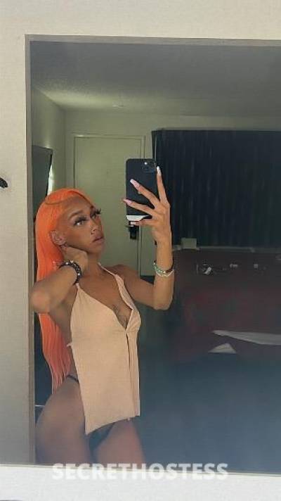 Honee 23Yrs Old Escort Inland Empire CA Image - 2