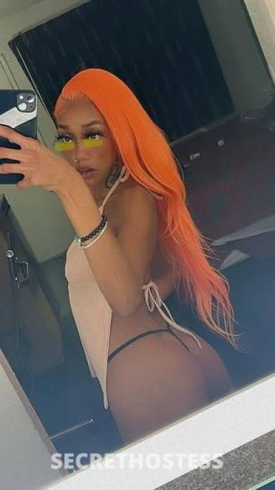 Honee 23Yrs Old Escort Inland Empire CA Image - 6