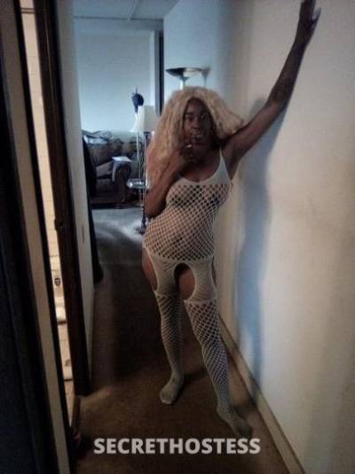 Keekee4U 29Yrs Old Escort Saint Louis MO Image - 3