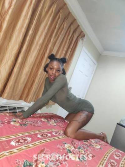 Kimm 24Yrs Old Escort Los Angeles CA Image - 4