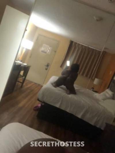 Layla 24Yrs Old Escort Lafayette IN Image - 2