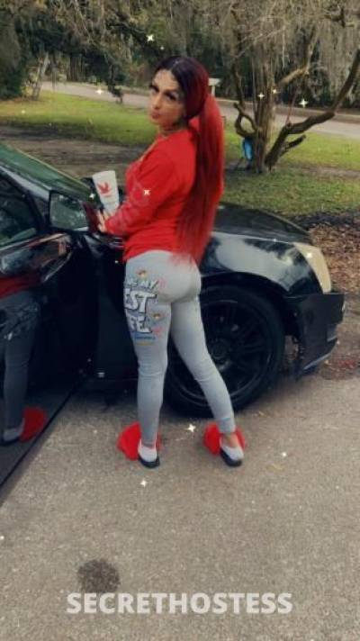 Mya 24Yrs Old Escort Jacksonville FL Image - 5