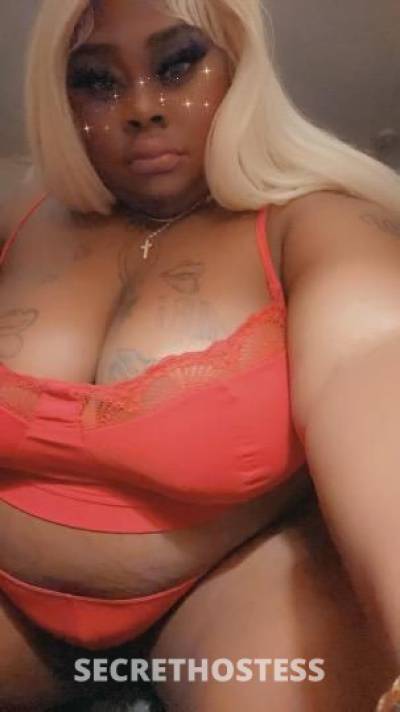 Pink 29Yrs Old Escort Hartford CT Image - 5