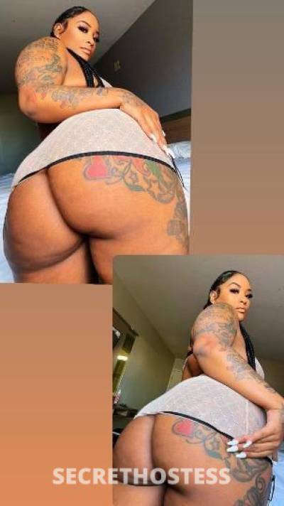 ShellyTheBaddie 27Yrs Old Escort Houma LA Image - 5