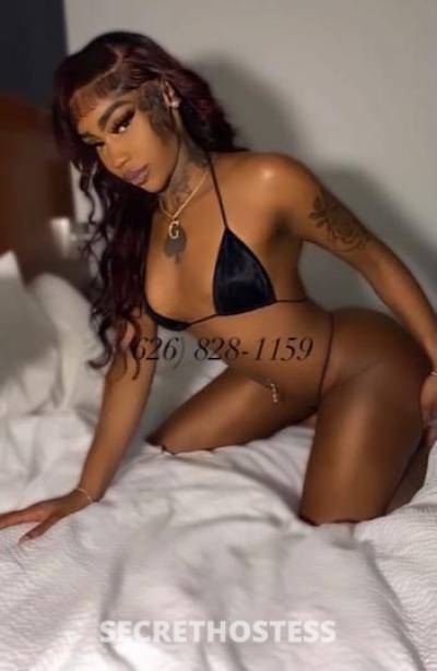 Taylor 21Yrs Old Escort San Gabriel Valley CA Image - 3