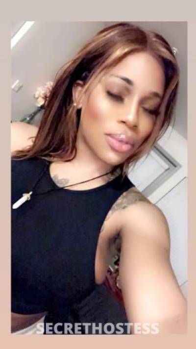 22 year old Dominican Escort in Everett WA Hosting in Bothell ... available $Anal...So any TRUE 