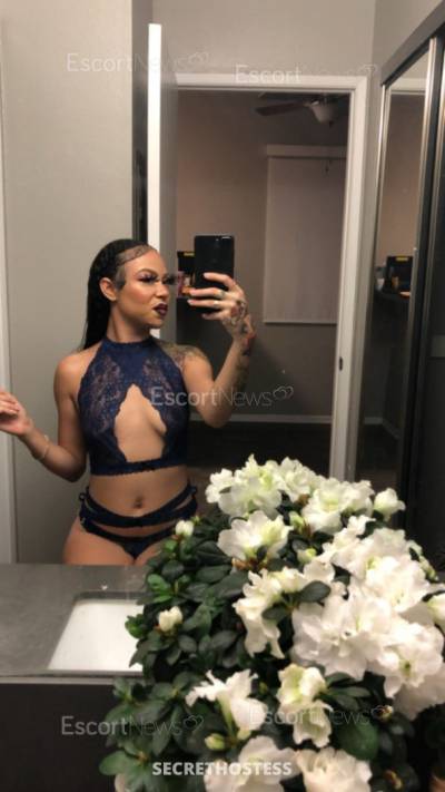24Yrs Old Escort 53KG 158CM Tall Los Angeles CA Image - 2