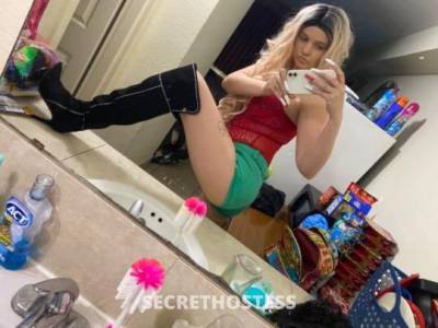 25Yrs Old Escort Houston TX Image - 1